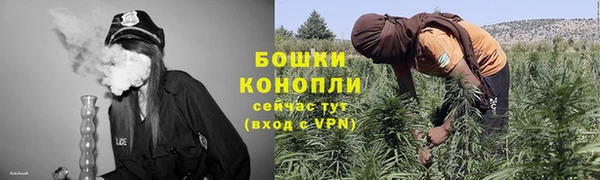 гидра Костерёво