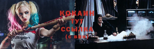 гидра Костерёво