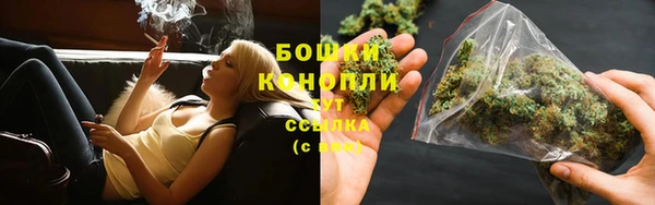 гидра Костерёво