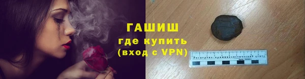 гидра Костерёво