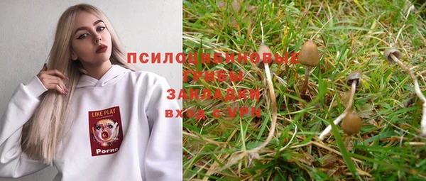 гидра Костерёво