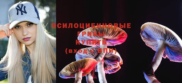 гидра Костерёво